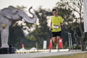 BIB: 
                            <button type="button" onclick="openModal(26178279)" class="btn btn-primary btn-sm float-right btn-popup" data-toggle="modal" data-target=".modal-high-quality">
                        <i class="fas fa-shopping-cart"></i> Add to Cart
                    </button>
                                            <button type="button" onclick="isThisMe(26178279, true)" class="btn btn-success btn-sm float-right btn-popup btn-isme hidden" data-toggle="tooltip" data-placement="bottom" title="นี่คือรูปของคุณใช่ไหม คลิกที่นี่เพื่อเอาเข้าอัลบั้ม">
                        <i class="fas fa-plus"></i> Add to album
                    </button>
                    <button type="button" onclick="isThisMe(26178279, false)" class="btn btn-warning btn-sm float-right btn-popup btn-isnotme hidden">
                        <i class="fas fa-ban"></i> Remove from album
                    </button>