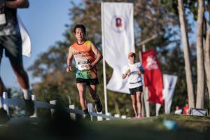 BIB: 
                            <button type="button" onclick="openModal(26164344)" class="btn btn-primary btn-sm float-right btn-popup" data-toggle="modal" data-target=".modal-high-quality">
                        <i class="fas fa-shopping-cart"></i> Add to Cart
                    </button>
                                            <button type="button" onclick="isThisMe(26164344, true)" class="btn btn-success btn-sm float-right btn-popup btn-isme hidden" data-toggle="tooltip" data-placement="bottom" title="นี่คือรูปของคุณใช่ไหม คลิกที่นี่เพื่อเอาเข้าอัลบั้ม">
                        <i class="fas fa-plus"></i> Add to album
                    </button>
                    <button type="button" onclick="isThisMe(26164344, false)" class="btn btn-warning btn-sm float-right btn-popup btn-isnotme hidden">
                        <i class="fas fa-ban"></i> Remove from album
                    </button>