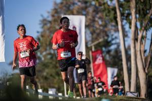 BIB: 
                            <button type="button" onclick="openModal(26164405)" class="btn btn-primary btn-sm float-right btn-popup" data-toggle="modal" data-target=".modal-high-quality">
                        <i class="fas fa-shopping-cart"></i> Add to Cart
                    </button>
                                            <button type="button" onclick="isThisMe(26164405, true)" class="btn btn-success btn-sm float-right btn-popup btn-isme hidden" data-toggle="tooltip" data-placement="bottom" title="นี่คือรูปของคุณใช่ไหม คลิกที่นี่เพื่อเอาเข้าอัลบั้ม">
                        <i class="fas fa-plus"></i> Add to album
                    </button>
                    <button type="button" onclick="isThisMe(26164405, false)" class="btn btn-warning btn-sm float-right btn-popup btn-isnotme hidden">
                        <i class="fas fa-ban"></i> Remove from album
                    </button>