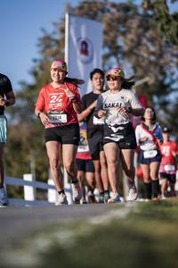 BIB: 
                            <button type="button" onclick="openModal(26163678)" class="btn btn-primary btn-sm float-right btn-popup" data-toggle="modal" data-target=".modal-high-quality">
                        <i class="fas fa-shopping-cart"></i> Add to Cart
                    </button>
                                            <button type="button" onclick="isThisMe(26163678, true)" class="btn btn-success btn-sm float-right btn-popup btn-isme hidden" data-toggle="tooltip" data-placement="bottom" title="นี่คือรูปของคุณใช่ไหม คลิกที่นี่เพื่อเอาเข้าอัลบั้ม">
                        <i class="fas fa-plus"></i> Add to album
                    </button>
                    <button type="button" onclick="isThisMe(26163678, false)" class="btn btn-warning btn-sm float-right btn-popup btn-isnotme hidden">
                        <i class="fas fa-ban"></i> Remove from album
                    </button>