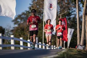 BIB: 
                            <button type="button" onclick="openModal(26165576)" class="btn btn-primary btn-sm float-right btn-popup" data-toggle="modal" data-target=".modal-high-quality">
                        <i class="fas fa-shopping-cart"></i> Add to Cart
                    </button>
                                            <button type="button" onclick="isThisMe(26165576, true)" class="btn btn-success btn-sm float-right btn-popup btn-isme hidden" data-toggle="tooltip" data-placement="bottom" title="นี่คือรูปของคุณใช่ไหม คลิกที่นี่เพื่อเอาเข้าอัลบั้ม">
                        <i class="fas fa-plus"></i> Add to album
                    </button>
                    <button type="button" onclick="isThisMe(26165576, false)" class="btn btn-warning btn-sm float-right btn-popup btn-isnotme hidden">
                        <i class="fas fa-ban"></i> Remove from album
                    </button>