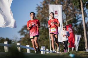 BIB: 
                            <button type="button" onclick="openModal(26164733)" class="btn btn-primary btn-sm float-right btn-popup" data-toggle="modal" data-target=".modal-high-quality">
                        <i class="fas fa-shopping-cart"></i> Add to Cart
                    </button>
                                            <button type="button" onclick="isThisMe(26164733, true)" class="btn btn-success btn-sm float-right btn-popup btn-isme hidden" data-toggle="tooltip" data-placement="bottom" title="นี่คือรูปของคุณใช่ไหม คลิกที่นี่เพื่อเอาเข้าอัลบั้ม">
                        <i class="fas fa-plus"></i> Add to album
                    </button>
                    <button type="button" onclick="isThisMe(26164733, false)" class="btn btn-warning btn-sm float-right btn-popup btn-isnotme hidden">
                        <i class="fas fa-ban"></i> Remove from album
                    </button>