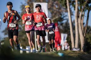 BIB: 
                            <button type="button" onclick="openModal(26164376)" class="btn btn-primary btn-sm float-right btn-popup" data-toggle="modal" data-target=".modal-high-quality">
                        <i class="fas fa-shopping-cart"></i> Add to Cart
                    </button>
                                            <button type="button" onclick="isThisMe(26164376, true)" class="btn btn-success btn-sm float-right btn-popup btn-isme hidden" data-toggle="tooltip" data-placement="bottom" title="นี่คือรูปของคุณใช่ไหม คลิกที่นี่เพื่อเอาเข้าอัลบั้ม">
                        <i class="fas fa-plus"></i> Add to album
                    </button>
                    <button type="button" onclick="isThisMe(26164376, false)" class="btn btn-warning btn-sm float-right btn-popup btn-isnotme hidden">
                        <i class="fas fa-ban"></i> Remove from album
                    </button>