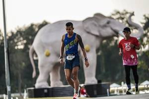 BIB: 
                            <button type="button" onclick="openModal(26178291)" class="btn btn-primary btn-sm float-right btn-popup" data-toggle="modal" data-target=".modal-high-quality">
                        <i class="fas fa-shopping-cart"></i> Add to Cart
                    </button>
                                            <button type="button" onclick="isThisMe(26178291, true)" class="btn btn-success btn-sm float-right btn-popup btn-isme hidden" data-toggle="tooltip" data-placement="bottom" title="นี่คือรูปของคุณใช่ไหม คลิกที่นี่เพื่อเอาเข้าอัลบั้ม">
                        <i class="fas fa-plus"></i> Add to album
                    </button>
                    <button type="button" onclick="isThisMe(26178291, false)" class="btn btn-warning btn-sm float-right btn-popup btn-isnotme hidden">
                        <i class="fas fa-ban"></i> Remove from album
                    </button>