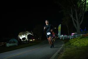 BIB: 
                            <button type="button" onclick="openModal(26171935)" class="btn btn-primary btn-sm float-right btn-popup" data-toggle="modal" data-target=".modal-high-quality">
                        <i class="fas fa-shopping-cart"></i> Add to Cart
                    </button>
                                            <button type="button" onclick="isThisMe(26171935, true)" class="btn btn-success btn-sm float-right btn-popup btn-isme hidden" data-toggle="tooltip" data-placement="bottom" title="นี่คือรูปของคุณใช่ไหม คลิกที่นี่เพื่อเอาเข้าอัลบั้ม">
                        <i class="fas fa-plus"></i> Add to album
                    </button>
                    <button type="button" onclick="isThisMe(26171935, false)" class="btn btn-warning btn-sm float-right btn-popup btn-isnotme hidden">
                        <i class="fas fa-ban"></i> Remove from album
                    </button>