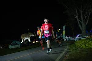 BIB: 
                            <button type="button" onclick="openModal(26172001)" class="btn btn-primary btn-sm float-right btn-popup" data-toggle="modal" data-target=".modal-high-quality">
                        <i class="fas fa-shopping-cart"></i> Add to Cart
                    </button>
                                            <button type="button" onclick="isThisMe(26172001, true)" class="btn btn-success btn-sm float-right btn-popup btn-isme hidden" data-toggle="tooltip" data-placement="bottom" title="นี่คือรูปของคุณใช่ไหม คลิกที่นี่เพื่อเอาเข้าอัลบั้ม">
                        <i class="fas fa-plus"></i> Add to album
                    </button>
                    <button type="button" onclick="isThisMe(26172001, false)" class="btn btn-warning btn-sm float-right btn-popup btn-isnotme hidden">
                        <i class="fas fa-ban"></i> Remove from album
                    </button>