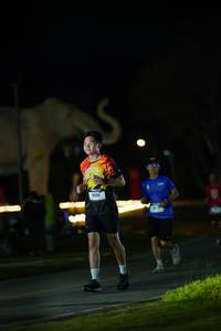 BIB: 
                            <button type="button" onclick="openModal(26173093)" class="btn btn-primary btn-sm float-right btn-popup" data-toggle="modal" data-target=".modal-high-quality">
                        <i class="fas fa-shopping-cart"></i> Add to Cart
                    </button>
                                            <button type="button" onclick="isThisMe(26173093, true)" class="btn btn-success btn-sm float-right btn-popup btn-isme hidden" data-toggle="tooltip" data-placement="bottom" title="นี่คือรูปของคุณใช่ไหม คลิกที่นี่เพื่อเอาเข้าอัลบั้ม">
                        <i class="fas fa-plus"></i> Add to album
                    </button>
                    <button type="button" onclick="isThisMe(26173093, false)" class="btn btn-warning btn-sm float-right btn-popup btn-isnotme hidden">
                        <i class="fas fa-ban"></i> Remove from album
                    </button>