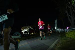 BIB: 
                            <button type="button" onclick="openModal(26171939)" class="btn btn-primary btn-sm float-right btn-popup" data-toggle="modal" data-target=".modal-high-quality">
                        <i class="fas fa-shopping-cart"></i> Add to Cart
                    </button>
                                            <button type="button" onclick="isThisMe(26171939, true)" class="btn btn-success btn-sm float-right btn-popup btn-isme hidden" data-toggle="tooltip" data-placement="bottom" title="นี่คือรูปของคุณใช่ไหม คลิกที่นี่เพื่อเอาเข้าอัลบั้ม">
                        <i class="fas fa-plus"></i> Add to album
                    </button>
                    <button type="button" onclick="isThisMe(26171939, false)" class="btn btn-warning btn-sm float-right btn-popup btn-isnotme hidden">
                        <i class="fas fa-ban"></i> Remove from album
                    </button>