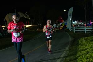 BIB: 
                            <button type="button" onclick="openModal(26173044)" class="btn btn-primary btn-sm float-right btn-popup" data-toggle="modal" data-target=".modal-high-quality">
                        <i class="fas fa-shopping-cart"></i> Add to Cart
                    </button>
                                            <button type="button" onclick="isThisMe(26173044, true)" class="btn btn-success btn-sm float-right btn-popup btn-isme hidden" data-toggle="tooltip" data-placement="bottom" title="นี่คือรูปของคุณใช่ไหม คลิกที่นี่เพื่อเอาเข้าอัลบั้ม">
                        <i class="fas fa-plus"></i> Add to album
                    </button>
                    <button type="button" onclick="isThisMe(26173044, false)" class="btn btn-warning btn-sm float-right btn-popup btn-isnotme hidden">
                        <i class="fas fa-ban"></i> Remove from album
                    </button>