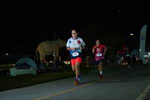 BIB: 
                            <button type="button" onclick="openModal(26172437)" class="btn btn-primary btn-sm float-right btn-popup" data-toggle="modal" data-target=".modal-high-quality">
                        <i class="fas fa-shopping-cart"></i> Add to Cart
                    </button>
                                            <button type="button" onclick="isThisMe(26172437, true)" class="btn btn-success btn-sm float-right btn-popup btn-isme hidden" data-toggle="tooltip" data-placement="bottom" title="นี่คือรูปของคุณใช่ไหม คลิกที่นี่เพื่อเอาเข้าอัลบั้ม">
                        <i class="fas fa-plus"></i> Add to album
                    </button>
                    <button type="button" onclick="isThisMe(26172437, false)" class="btn btn-warning btn-sm float-right btn-popup btn-isnotme hidden">
                        <i class="fas fa-ban"></i> Remove from album
                    </button>