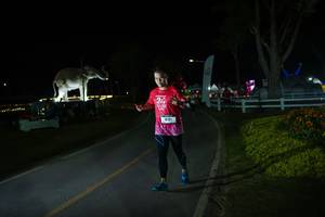 BIB: 
                            <button type="button" onclick="openModal(26171663)" class="btn btn-primary btn-sm float-right btn-popup" data-toggle="modal" data-target=".modal-high-quality">
                        <i class="fas fa-shopping-cart"></i> Add to Cart
                    </button>
                                            <button type="button" onclick="isThisMe(26171663, true)" class="btn btn-success btn-sm float-right btn-popup btn-isme hidden" data-toggle="tooltip" data-placement="bottom" title="นี่คือรูปของคุณใช่ไหม คลิกที่นี่เพื่อเอาเข้าอัลบั้ม">
                        <i class="fas fa-plus"></i> Add to album
                    </button>
                    <button type="button" onclick="isThisMe(26171663, false)" class="btn btn-warning btn-sm float-right btn-popup btn-isnotme hidden">
                        <i class="fas fa-ban"></i> Remove from album
                    </button>