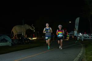 BIB: 
                            <button type="button" onclick="openModal(26172761)" class="btn btn-primary btn-sm float-right btn-popup" data-toggle="modal" data-target=".modal-high-quality">
                        <i class="fas fa-shopping-cart"></i> Add to Cart
                    </button>
                                            <button type="button" onclick="isThisMe(26172761, true)" class="btn btn-success btn-sm float-right btn-popup btn-isme hidden" data-toggle="tooltip" data-placement="bottom" title="นี่คือรูปของคุณใช่ไหม คลิกที่นี่เพื่อเอาเข้าอัลบั้ม">
                        <i class="fas fa-plus"></i> Add to album
                    </button>
                    <button type="button" onclick="isThisMe(26172761, false)" class="btn btn-warning btn-sm float-right btn-popup btn-isnotme hidden">
                        <i class="fas fa-ban"></i> Remove from album
                    </button>