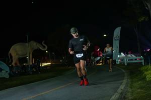 BIB: 
                            <button type="button" onclick="openModal(26172705)" class="btn btn-primary btn-sm float-right btn-popup" data-toggle="modal" data-target=".modal-high-quality">
                        <i class="fas fa-shopping-cart"></i> Add to Cart
                    </button>
                                            <button type="button" onclick="isThisMe(26172705, true)" class="btn btn-success btn-sm float-right btn-popup btn-isme hidden" data-toggle="tooltip" data-placement="bottom" title="นี่คือรูปของคุณใช่ไหม คลิกที่นี่เพื่อเอาเข้าอัลบั้ม">
                        <i class="fas fa-plus"></i> Add to album
                    </button>
                    <button type="button" onclick="isThisMe(26172705, false)" class="btn btn-warning btn-sm float-right btn-popup btn-isnotme hidden">
                        <i class="fas fa-ban"></i> Remove from album
                    </button>