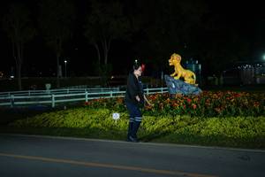 BIB: 
                            <button type="button" onclick="openModal(26170952)" class="btn btn-primary btn-sm float-right btn-popup" data-toggle="modal" data-target=".modal-high-quality">
                        <i class="fas fa-shopping-cart"></i> Add to Cart
                    </button>
                                            <button type="button" onclick="isThisMe(26170952, true)" class="btn btn-success btn-sm float-right btn-popup btn-isme hidden" data-toggle="tooltip" data-placement="bottom" title="นี่คือรูปของคุณใช่ไหม คลิกที่นี่เพื่อเอาเข้าอัลบั้ม">
                        <i class="fas fa-plus"></i> Add to album
                    </button>
                    <button type="button" onclick="isThisMe(26170952, false)" class="btn btn-warning btn-sm float-right btn-popup btn-isnotme hidden">
                        <i class="fas fa-ban"></i> Remove from album
                    </button>