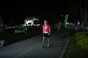 BIB: 
                            <button type="button" onclick="openModal(26171795)" class="btn btn-primary btn-sm float-right btn-popup" data-toggle="modal" data-target=".modal-high-quality">
                        <i class="fas fa-shopping-cart"></i> Add to Cart
                    </button>
                                            <button type="button" onclick="isThisMe(26171795, true)" class="btn btn-success btn-sm float-right btn-popup btn-isme hidden" data-toggle="tooltip" data-placement="bottom" title="นี่คือรูปของคุณใช่ไหม คลิกที่นี่เพื่อเอาเข้าอัลบั้ม">
                        <i class="fas fa-plus"></i> Add to album
                    </button>
                    <button type="button" onclick="isThisMe(26171795, false)" class="btn btn-warning btn-sm float-right btn-popup btn-isnotme hidden">
                        <i class="fas fa-ban"></i> Remove from album
                    </button>