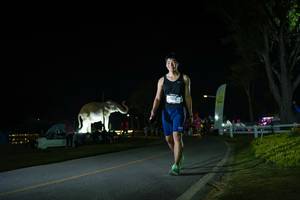 BIB: 
                            <button type="button" onclick="openModal(26171847)" class="btn btn-primary btn-sm float-right btn-popup" data-toggle="modal" data-target=".modal-high-quality">
                        <i class="fas fa-shopping-cart"></i> Add to Cart
                    </button>
                                            <button type="button" onclick="isThisMe(26171847, true)" class="btn btn-success btn-sm float-right btn-popup btn-isme hidden" data-toggle="tooltip" data-placement="bottom" title="นี่คือรูปของคุณใช่ไหม คลิกที่นี่เพื่อเอาเข้าอัลบั้ม">
                        <i class="fas fa-plus"></i> Add to album
                    </button>
                    <button type="button" onclick="isThisMe(26171847, false)" class="btn btn-warning btn-sm float-right btn-popup btn-isnotme hidden">
                        <i class="fas fa-ban"></i> Remove from album
                    </button>