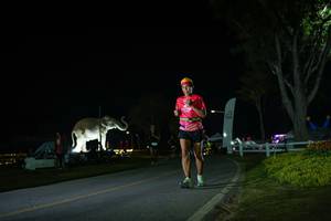 BIB: 
                            <button type="button" onclick="openModal(26171862)" class="btn btn-primary btn-sm float-right btn-popup" data-toggle="modal" data-target=".modal-high-quality">
                        <i class="fas fa-shopping-cart"></i> Add to Cart
                    </button>
                                            <button type="button" onclick="isThisMe(26171862, true)" class="btn btn-success btn-sm float-right btn-popup btn-isme hidden" data-toggle="tooltip" data-placement="bottom" title="นี่คือรูปของคุณใช่ไหม คลิกที่นี่เพื่อเอาเข้าอัลบั้ม">
                        <i class="fas fa-plus"></i> Add to album
                    </button>
                    <button type="button" onclick="isThisMe(26171862, false)" class="btn btn-warning btn-sm float-right btn-popup btn-isnotme hidden">
                        <i class="fas fa-ban"></i> Remove from album
                    </button>