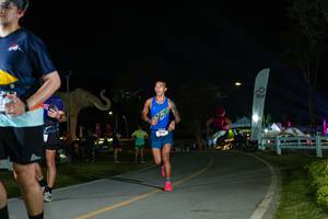 BIB: 
                            <button type="button" onclick="openModal(26173121)" class="btn btn-primary btn-sm float-right btn-popup" data-toggle="modal" data-target=".modal-high-quality">
                        <i class="fas fa-shopping-cart"></i> Add to Cart
                    </button>
                                            <button type="button" onclick="isThisMe(26173121, true)" class="btn btn-success btn-sm float-right btn-popup btn-isme hidden" data-toggle="tooltip" data-placement="bottom" title="นี่คือรูปของคุณใช่ไหม คลิกที่นี่เพื่อเอาเข้าอัลบั้ม">
                        <i class="fas fa-plus"></i> Add to album
                    </button>
                    <button type="button" onclick="isThisMe(26173121, false)" class="btn btn-warning btn-sm float-right btn-popup btn-isnotme hidden">
                        <i class="fas fa-ban"></i> Remove from album
                    </button>