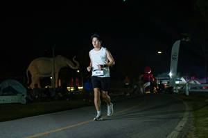 BIB: 
                            <button type="button" onclick="openModal(26172570)" class="btn btn-primary btn-sm float-right btn-popup" data-toggle="modal" data-target=".modal-high-quality">
                        <i class="fas fa-shopping-cart"></i> Add to Cart
                    </button>
                                            <button type="button" onclick="isThisMe(26172570, true)" class="btn btn-success btn-sm float-right btn-popup btn-isme hidden" data-toggle="tooltip" data-placement="bottom" title="นี่คือรูปของคุณใช่ไหม คลิกที่นี่เพื่อเอาเข้าอัลบั้ม">
                        <i class="fas fa-plus"></i> Add to album
                    </button>
                    <button type="button" onclick="isThisMe(26172570, false)" class="btn btn-warning btn-sm float-right btn-popup btn-isnotme hidden">
                        <i class="fas fa-ban"></i> Remove from album
                    </button>