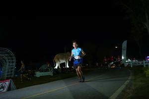 BIB: 
                            <button type="button" onclick="openModal(26171987)" class="btn btn-primary btn-sm float-right btn-popup" data-toggle="modal" data-target=".modal-high-quality">
                        <i class="fas fa-shopping-cart"></i> Add to Cart
                    </button>
                                            <button type="button" onclick="isThisMe(26171987, true)" class="btn btn-success btn-sm float-right btn-popup btn-isme hidden" data-toggle="tooltip" data-placement="bottom" title="นี่คือรูปของคุณใช่ไหม คลิกที่นี่เพื่อเอาเข้าอัลบั้ม">
                        <i class="fas fa-plus"></i> Add to album
                    </button>
                    <button type="button" onclick="isThisMe(26171987, false)" class="btn btn-warning btn-sm float-right btn-popup btn-isnotme hidden">
                        <i class="fas fa-ban"></i> Remove from album
                    </button>