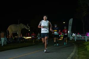 BIB: 
                            <button type="button" onclick="openModal(26172866)" class="btn btn-primary btn-sm float-right btn-popup" data-toggle="modal" data-target=".modal-high-quality">
                        <i class="fas fa-shopping-cart"></i> Add to Cart
                    </button>
                                            <button type="button" onclick="isThisMe(26172866, true)" class="btn btn-success btn-sm float-right btn-popup btn-isme hidden" data-toggle="tooltip" data-placement="bottom" title="นี่คือรูปของคุณใช่ไหม คลิกที่นี่เพื่อเอาเข้าอัลบั้ม">
                        <i class="fas fa-plus"></i> Add to album
                    </button>
                    <button type="button" onclick="isThisMe(26172866, false)" class="btn btn-warning btn-sm float-right btn-popup btn-isnotme hidden">
                        <i class="fas fa-ban"></i> Remove from album
                    </button>