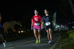 BIB: 
                            <button type="button" onclick="openModal(26172609)" class="btn btn-primary btn-sm float-right btn-popup" data-toggle="modal" data-target=".modal-high-quality">
                        <i class="fas fa-shopping-cart"></i> Add to Cart
                    </button>
                                            <button type="button" onclick="isThisMe(26172609, true)" class="btn btn-success btn-sm float-right btn-popup btn-isme hidden" data-toggle="tooltip" data-placement="bottom" title="นี่คือรูปของคุณใช่ไหม คลิกที่นี่เพื่อเอาเข้าอัลบั้ม">
                        <i class="fas fa-plus"></i> Add to album
                    </button>
                    <button type="button" onclick="isThisMe(26172609, false)" class="btn btn-warning btn-sm float-right btn-popup btn-isnotme hidden">
                        <i class="fas fa-ban"></i> Remove from album
                    </button>