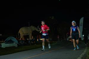 BIB: 
                            <button type="button" onclick="openModal(26172580)" class="btn btn-primary btn-sm float-right btn-popup" data-toggle="modal" data-target=".modal-high-quality">
                        <i class="fas fa-shopping-cart"></i> Add to Cart
                    </button>
                                            <button type="button" onclick="isThisMe(26172580, true)" class="btn btn-success btn-sm float-right btn-popup btn-isme hidden" data-toggle="tooltip" data-placement="bottom" title="นี่คือรูปของคุณใช่ไหม คลิกที่นี่เพื่อเอาเข้าอัลบั้ม">
                        <i class="fas fa-plus"></i> Add to album
                    </button>
                    <button type="button" onclick="isThisMe(26172580, false)" class="btn btn-warning btn-sm float-right btn-popup btn-isnotme hidden">
                        <i class="fas fa-ban"></i> Remove from album
                    </button>