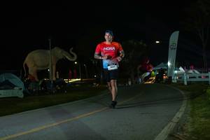 BIB: 
                            <button type="button" onclick="openModal(26172920)" class="btn btn-primary btn-sm float-right btn-popup" data-toggle="modal" data-target=".modal-high-quality">
                        <i class="fas fa-shopping-cart"></i> Add to Cart
                    </button>
                                            <button type="button" onclick="isThisMe(26172920, true)" class="btn btn-success btn-sm float-right btn-popup btn-isme hidden" data-toggle="tooltip" data-placement="bottom" title="นี่คือรูปของคุณใช่ไหม คลิกที่นี่เพื่อเอาเข้าอัลบั้ม">
                        <i class="fas fa-plus"></i> Add to album
                    </button>
                    <button type="button" onclick="isThisMe(26172920, false)" class="btn btn-warning btn-sm float-right btn-popup btn-isnotme hidden">
                        <i class="fas fa-ban"></i> Remove from album
                    </button>