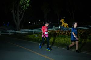 BIB: 
                            <button type="button" onclick="openModal(26171653)" class="btn btn-primary btn-sm float-right btn-popup" data-toggle="modal" data-target=".modal-high-quality">
                        <i class="fas fa-shopping-cart"></i> Add to Cart
                    </button>
                                            <button type="button" onclick="isThisMe(26171653, true)" class="btn btn-success btn-sm float-right btn-popup btn-isme hidden" data-toggle="tooltip" data-placement="bottom" title="นี่คือรูปของคุณใช่ไหม คลิกที่นี่เพื่อเอาเข้าอัลบั้ม">
                        <i class="fas fa-plus"></i> Add to album
                    </button>
                    <button type="button" onclick="isThisMe(26171653, false)" class="btn btn-warning btn-sm float-right btn-popup btn-isnotme hidden">
                        <i class="fas fa-ban"></i> Remove from album
                    </button>