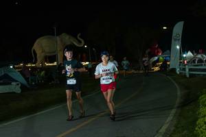 BIB: 
                            <button type="button" onclick="openModal(26173045)" class="btn btn-primary btn-sm float-right btn-popup" data-toggle="modal" data-target=".modal-high-quality">
                        <i class="fas fa-shopping-cart"></i> Add to Cart
                    </button>
                                            <button type="button" onclick="isThisMe(26173045, true)" class="btn btn-success btn-sm float-right btn-popup btn-isme hidden" data-toggle="tooltip" data-placement="bottom" title="นี่คือรูปของคุณใช่ไหม คลิกที่นี่เพื่อเอาเข้าอัลบั้ม">
                        <i class="fas fa-plus"></i> Add to album
                    </button>
                    <button type="button" onclick="isThisMe(26173045, false)" class="btn btn-warning btn-sm float-right btn-popup btn-isnotme hidden">
                        <i class="fas fa-ban"></i> Remove from album
                    </button>