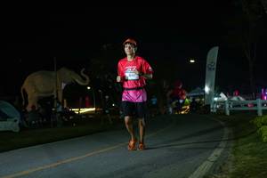 BIB: 
                            <button type="button" onclick="openModal(26172832)" class="btn btn-primary btn-sm float-right btn-popup" data-toggle="modal" data-target=".modal-high-quality">
                        <i class="fas fa-shopping-cart"></i> Add to Cart
                    </button>
                                            <button type="button" onclick="isThisMe(26172832, true)" class="btn btn-success btn-sm float-right btn-popup btn-isme hidden" data-toggle="tooltip" data-placement="bottom" title="นี่คือรูปของคุณใช่ไหม คลิกที่นี่เพื่อเอาเข้าอัลบั้ม">
                        <i class="fas fa-plus"></i> Add to album
                    </button>
                    <button type="button" onclick="isThisMe(26172832, false)" class="btn btn-warning btn-sm float-right btn-popup btn-isnotme hidden">
                        <i class="fas fa-ban"></i> Remove from album
                    </button>