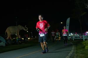 BIB: 
                            <button type="button" onclick="openModal(26172512)" class="btn btn-primary btn-sm float-right btn-popup" data-toggle="modal" data-target=".modal-high-quality">
                        <i class="fas fa-shopping-cart"></i> Add to Cart
                    </button>
                                            <button type="button" onclick="isThisMe(26172512, true)" class="btn btn-success btn-sm float-right btn-popup btn-isme hidden" data-toggle="tooltip" data-placement="bottom" title="นี่คือรูปของคุณใช่ไหม คลิกที่นี่เพื่อเอาเข้าอัลบั้ม">
                        <i class="fas fa-plus"></i> Add to album
                    </button>
                    <button type="button" onclick="isThisMe(26172512, false)" class="btn btn-warning btn-sm float-right btn-popup btn-isnotme hidden">
                        <i class="fas fa-ban"></i> Remove from album
                    </button>