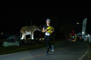 BIB: 
                            <button type="button" onclick="openModal(26172073)" class="btn btn-primary btn-sm float-right btn-popup" data-toggle="modal" data-target=".modal-high-quality">
                        <i class="fas fa-shopping-cart"></i> Add to Cart
                    </button>
                                            <button type="button" onclick="isThisMe(26172073, true)" class="btn btn-success btn-sm float-right btn-popup btn-isme hidden" data-toggle="tooltip" data-placement="bottom" title="นี่คือรูปของคุณใช่ไหม คลิกที่นี่เพื่อเอาเข้าอัลบั้ม">
                        <i class="fas fa-plus"></i> Add to album
                    </button>
                    <button type="button" onclick="isThisMe(26172073, false)" class="btn btn-warning btn-sm float-right btn-popup btn-isnotme hidden">
                        <i class="fas fa-ban"></i> Remove from album
                    </button>