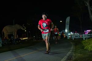 BIB: 
                            <button type="button" onclick="openModal(26172937)" class="btn btn-primary btn-sm float-right btn-popup" data-toggle="modal" data-target=".modal-high-quality">
                        <i class="fas fa-shopping-cart"></i> Add to Cart
                    </button>
                                            <button type="button" onclick="isThisMe(26172937, true)" class="btn btn-success btn-sm float-right btn-popup btn-isme hidden" data-toggle="tooltip" data-placement="bottom" title="นี่คือรูปของคุณใช่ไหม คลิกที่นี่เพื่อเอาเข้าอัลบั้ม">
                        <i class="fas fa-plus"></i> Add to album
                    </button>
                    <button type="button" onclick="isThisMe(26172937, false)" class="btn btn-warning btn-sm float-right btn-popup btn-isnotme hidden">
                        <i class="fas fa-ban"></i> Remove from album
                    </button>