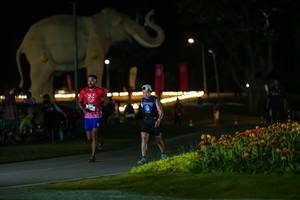 BIB: 
                            <button type="button" onclick="openModal(26173069)" class="btn btn-primary btn-sm float-right btn-popup" data-toggle="modal" data-target=".modal-high-quality">
                        <i class="fas fa-shopping-cart"></i> Add to Cart
                    </button>
                                            <button type="button" onclick="isThisMe(26173069, true)" class="btn btn-success btn-sm float-right btn-popup btn-isme hidden" data-toggle="tooltip" data-placement="bottom" title="นี่คือรูปของคุณใช่ไหม คลิกที่นี่เพื่อเอาเข้าอัลบั้ม">
                        <i class="fas fa-plus"></i> Add to album
                    </button>
                    <button type="button" onclick="isThisMe(26173069, false)" class="btn btn-warning btn-sm float-right btn-popup btn-isnotme hidden">
                        <i class="fas fa-ban"></i> Remove from album
                    </button>