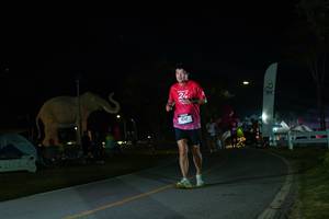 BIB: 
                            <button type="button" onclick="openModal(26172489)" class="btn btn-primary btn-sm float-right btn-popup" data-toggle="modal" data-target=".modal-high-quality">
                        <i class="fas fa-shopping-cart"></i> Add to Cart
                    </button>
                                            <button type="button" onclick="isThisMe(26172489, true)" class="btn btn-success btn-sm float-right btn-popup btn-isme hidden" data-toggle="tooltip" data-placement="bottom" title="นี่คือรูปของคุณใช่ไหม คลิกที่นี่เพื่อเอาเข้าอัลบั้ม">
                        <i class="fas fa-plus"></i> Add to album
                    </button>
                    <button type="button" onclick="isThisMe(26172489, false)" class="btn btn-warning btn-sm float-right btn-popup btn-isnotme hidden">
                        <i class="fas fa-ban"></i> Remove from album
                    </button>