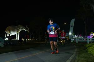 BIB: 
                            <button type="button" onclick="openModal(26172097)" class="btn btn-primary btn-sm float-right btn-popup" data-toggle="modal" data-target=".modal-high-quality">
                        <i class="fas fa-shopping-cart"></i> Add to Cart
                    </button>
                                            <button type="button" onclick="isThisMe(26172097, true)" class="btn btn-success btn-sm float-right btn-popup btn-isme hidden" data-toggle="tooltip" data-placement="bottom" title="นี่คือรูปของคุณใช่ไหม คลิกที่นี่เพื่อเอาเข้าอัลบั้ม">
                        <i class="fas fa-plus"></i> Add to album
                    </button>
                    <button type="button" onclick="isThisMe(26172097, false)" class="btn btn-warning btn-sm float-right btn-popup btn-isnotme hidden">
                        <i class="fas fa-ban"></i> Remove from album
                    </button>