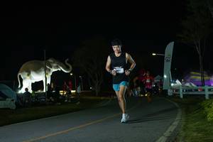 BIB: 
                            <button type="button" onclick="openModal(26172146)" class="btn btn-primary btn-sm float-right btn-popup" data-toggle="modal" data-target=".modal-high-quality">
                        <i class="fas fa-shopping-cart"></i> Add to Cart
                    </button>
                                            <button type="button" onclick="isThisMe(26172146, true)" class="btn btn-success btn-sm float-right btn-popup btn-isme hidden" data-toggle="tooltip" data-placement="bottom" title="นี่คือรูปของคุณใช่ไหม คลิกที่นี่เพื่อเอาเข้าอัลบั้ม">
                        <i class="fas fa-plus"></i> Add to album
                    </button>
                    <button type="button" onclick="isThisMe(26172146, false)" class="btn btn-warning btn-sm float-right btn-popup btn-isnotme hidden">
                        <i class="fas fa-ban"></i> Remove from album
                    </button>