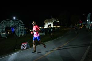 BIB: 
                            <button type="button" onclick="openModal(26171717)" class="btn btn-primary btn-sm float-right btn-popup" data-toggle="modal" data-target=".modal-high-quality">
                        <i class="fas fa-shopping-cart"></i> Add to Cart
                    </button>
                                            <button type="button" onclick="isThisMe(26171717, true)" class="btn btn-success btn-sm float-right btn-popup btn-isme hidden" data-toggle="tooltip" data-placement="bottom" title="นี่คือรูปของคุณใช่ไหม คลิกที่นี่เพื่อเอาเข้าอัลบั้ม">
                        <i class="fas fa-plus"></i> Add to album
                    </button>
                    <button type="button" onclick="isThisMe(26171717, false)" class="btn btn-warning btn-sm float-right btn-popup btn-isnotme hidden">
                        <i class="fas fa-ban"></i> Remove from album
                    </button>