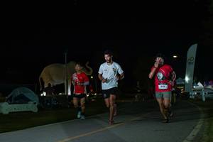 BIB: 
                            <button type="button" onclick="openModal(26172095)" class="btn btn-primary btn-sm float-right btn-popup" data-toggle="modal" data-target=".modal-high-quality">
                        <i class="fas fa-shopping-cart"></i> Add to Cart
                    </button>
                                            <button type="button" onclick="isThisMe(26172095, true)" class="btn btn-success btn-sm float-right btn-popup btn-isme hidden" data-toggle="tooltip" data-placement="bottom" title="นี่คือรูปของคุณใช่ไหม คลิกที่นี่เพื่อเอาเข้าอัลบั้ม">
                        <i class="fas fa-plus"></i> Add to album
                    </button>
                    <button type="button" onclick="isThisMe(26172095, false)" class="btn btn-warning btn-sm float-right btn-popup btn-isnotme hidden">
                        <i class="fas fa-ban"></i> Remove from album
                    </button>