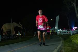 BIB: 
                            <button type="button" onclick="openModal(26172825)" class="btn btn-primary btn-sm float-right btn-popup" data-toggle="modal" data-target=".modal-high-quality">
                        <i class="fas fa-shopping-cart"></i> Add to Cart
                    </button>
                                            <button type="button" onclick="isThisMe(26172825, true)" class="btn btn-success btn-sm float-right btn-popup btn-isme hidden" data-toggle="tooltip" data-placement="bottom" title="นี่คือรูปของคุณใช่ไหม คลิกที่นี่เพื่อเอาเข้าอัลบั้ม">
                        <i class="fas fa-plus"></i> Add to album
                    </button>
                    <button type="button" onclick="isThisMe(26172825, false)" class="btn btn-warning btn-sm float-right btn-popup btn-isnotme hidden">
                        <i class="fas fa-ban"></i> Remove from album
                    </button>