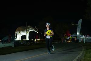 BIB: 
                            <button type="button" onclick="openModal(26172068)" class="btn btn-primary btn-sm float-right btn-popup" data-toggle="modal" data-target=".modal-high-quality">
                        <i class="fas fa-shopping-cart"></i> Add to Cart
                    </button>
                                            <button type="button" onclick="isThisMe(26172068, true)" class="btn btn-success btn-sm float-right btn-popup btn-isme hidden" data-toggle="tooltip" data-placement="bottom" title="นี่คือรูปของคุณใช่ไหม คลิกที่นี่เพื่อเอาเข้าอัลบั้ม">
                        <i class="fas fa-plus"></i> Add to album
                    </button>
                    <button type="button" onclick="isThisMe(26172068, false)" class="btn btn-warning btn-sm float-right btn-popup btn-isnotme hidden">
                        <i class="fas fa-ban"></i> Remove from album
                    </button>