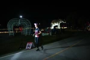 BIB: 
                            <button type="button" onclick="openModal(26171760)" class="btn btn-primary btn-sm float-right btn-popup" data-toggle="modal" data-target=".modal-high-quality">
                        <i class="fas fa-shopping-cart"></i> Add to Cart
                    </button>
                                            <button type="button" onclick="isThisMe(26171760, true)" class="btn btn-success btn-sm float-right btn-popup btn-isme hidden" data-toggle="tooltip" data-placement="bottom" title="นี่คือรูปของคุณใช่ไหม คลิกที่นี่เพื่อเอาเข้าอัลบั้ม">
                        <i class="fas fa-plus"></i> Add to album
                    </button>
                    <button type="button" onclick="isThisMe(26171760, false)" class="btn btn-warning btn-sm float-right btn-popup btn-isnotme hidden">
                        <i class="fas fa-ban"></i> Remove from album
                    </button>