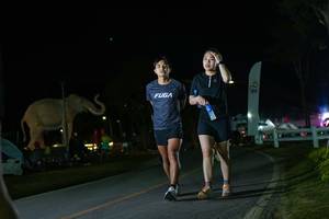 BIB: 
                            <button type="button" onclick="openModal(26172486)" class="btn btn-primary btn-sm float-right btn-popup" data-toggle="modal" data-target=".modal-high-quality">
                        <i class="fas fa-shopping-cart"></i> Add to Cart
                    </button>
                                            <button type="button" onclick="isThisMe(26172486, true)" class="btn btn-success btn-sm float-right btn-popup btn-isme hidden" data-toggle="tooltip" data-placement="bottom" title="นี่คือรูปของคุณใช่ไหม คลิกที่นี่เพื่อเอาเข้าอัลบั้ม">
                        <i class="fas fa-plus"></i> Add to album
                    </button>
                    <button type="button" onclick="isThisMe(26172486, false)" class="btn btn-warning btn-sm float-right btn-popup btn-isnotme hidden">
                        <i class="fas fa-ban"></i> Remove from album
                    </button>