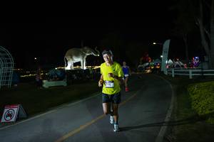 BIB: 
                            <button type="button" onclick="openModal(26171730)" class="btn btn-primary btn-sm float-right btn-popup" data-toggle="modal" data-target=".modal-high-quality">
                        <i class="fas fa-shopping-cart"></i> Add to Cart
                    </button>
                                            <button type="button" onclick="isThisMe(26171730, true)" class="btn btn-success btn-sm float-right btn-popup btn-isme hidden" data-toggle="tooltip" data-placement="bottom" title="นี่คือรูปของคุณใช่ไหม คลิกที่นี่เพื่อเอาเข้าอัลบั้ม">
                        <i class="fas fa-plus"></i> Add to album
                    </button>
                    <button type="button" onclick="isThisMe(26171730, false)" class="btn btn-warning btn-sm float-right btn-popup btn-isnotme hidden">
                        <i class="fas fa-ban"></i> Remove from album
                    </button>