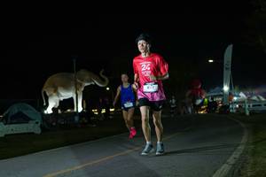 BIB: 
                            <button type="button" onclick="openModal(26172278)" class="btn btn-primary btn-sm float-right btn-popup" data-toggle="modal" data-target=".modal-high-quality">
                        <i class="fas fa-shopping-cart"></i> Add to Cart
                    </button>
                                            <button type="button" onclick="isThisMe(26172278, true)" class="btn btn-success btn-sm float-right btn-popup btn-isme hidden" data-toggle="tooltip" data-placement="bottom" title="นี่คือรูปของคุณใช่ไหม คลิกที่นี่เพื่อเอาเข้าอัลบั้ม">
                        <i class="fas fa-plus"></i> Add to album
                    </button>
                    <button type="button" onclick="isThisMe(26172278, false)" class="btn btn-warning btn-sm float-right btn-popup btn-isnotme hidden">
                        <i class="fas fa-ban"></i> Remove from album
                    </button>