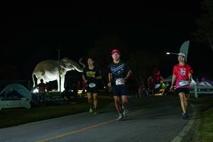 BIB: 
                            <button type="button" onclick="openModal(26172109)" class="btn btn-primary btn-sm float-right btn-popup" data-toggle="modal" data-target=".modal-high-quality">
                        <i class="fas fa-shopping-cart"></i> Add to Cart
                    </button>
                                            <button type="button" onclick="isThisMe(26172109, true)" class="btn btn-success btn-sm float-right btn-popup btn-isme hidden" data-toggle="tooltip" data-placement="bottom" title="นี่คือรูปของคุณใช่ไหม คลิกที่นี่เพื่อเอาเข้าอัลบั้ม">
                        <i class="fas fa-plus"></i> Add to album
                    </button>
                    <button type="button" onclick="isThisMe(26172109, false)" class="btn btn-warning btn-sm float-right btn-popup btn-isnotme hidden">
                        <i class="fas fa-ban"></i> Remove from album
                    </button>