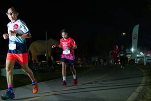 BIB: 
                            <button type="button" onclick="openModal(26172440)" class="btn btn-primary btn-sm float-right btn-popup" data-toggle="modal" data-target=".modal-high-quality">
                        <i class="fas fa-shopping-cart"></i> Add to Cart
                    </button>
                                            <button type="button" onclick="isThisMe(26172440, true)" class="btn btn-success btn-sm float-right btn-popup btn-isme hidden" data-toggle="tooltip" data-placement="bottom" title="นี่คือรูปของคุณใช่ไหม คลิกที่นี่เพื่อเอาเข้าอัลบั้ม">
                        <i class="fas fa-plus"></i> Add to album
                    </button>
                    <button type="button" onclick="isThisMe(26172440, false)" class="btn btn-warning btn-sm float-right btn-popup btn-isnotme hidden">
                        <i class="fas fa-ban"></i> Remove from album
                    </button>