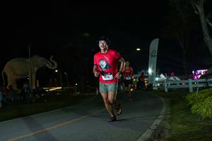 BIB: 
                            <button type="button" onclick="openModal(26172936)" class="btn btn-primary btn-sm float-right btn-popup" data-toggle="modal" data-target=".modal-high-quality">
                        <i class="fas fa-shopping-cart"></i> Add to Cart
                    </button>
                                            <button type="button" onclick="isThisMe(26172936, true)" class="btn btn-success btn-sm float-right btn-popup btn-isme hidden" data-toggle="tooltip" data-placement="bottom" title="นี่คือรูปของคุณใช่ไหม คลิกที่นี่เพื่อเอาเข้าอัลบั้ม">
                        <i class="fas fa-plus"></i> Add to album
                    </button>
                    <button type="button" onclick="isThisMe(26172936, false)" class="btn btn-warning btn-sm float-right btn-popup btn-isnotme hidden">
                        <i class="fas fa-ban"></i> Remove from album
                    </button>