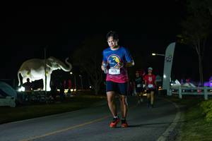 BIB: 
                            <button type="button" onclick="openModal(26172105)" class="btn btn-primary btn-sm float-right btn-popup" data-toggle="modal" data-target=".modal-high-quality">
                        <i class="fas fa-shopping-cart"></i> Add to Cart
                    </button>
                                            <button type="button" onclick="isThisMe(26172105, true)" class="btn btn-success btn-sm float-right btn-popup btn-isme hidden" data-toggle="tooltip" data-placement="bottom" title="นี่คือรูปของคุณใช่ไหม คลิกที่นี่เพื่อเอาเข้าอัลบั้ม">
                        <i class="fas fa-plus"></i> Add to album
                    </button>
                    <button type="button" onclick="isThisMe(26172105, false)" class="btn btn-warning btn-sm float-right btn-popup btn-isnotme hidden">
                        <i class="fas fa-ban"></i> Remove from album
                    </button>